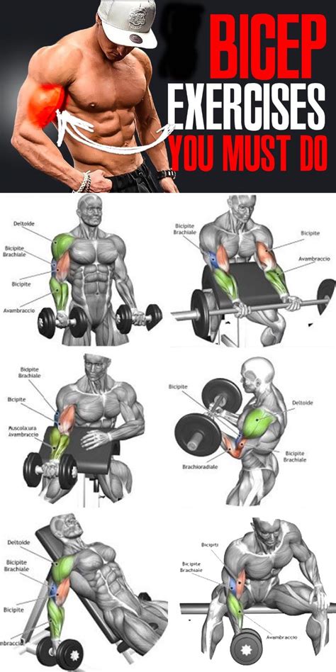 HOW TO BICEPS EXERCISES | GUIDE