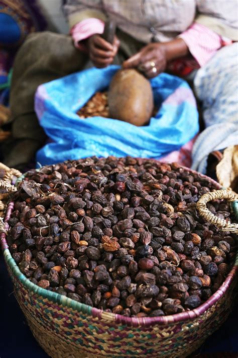 The Morocco Diaries, Part 9 of 10: How Argan Oil is Made - From Tree ...