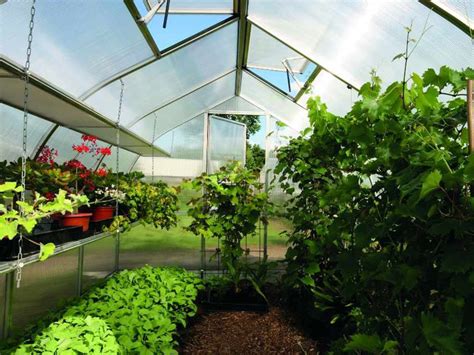 Greenhouse Gardening For Beginners - Where do I start?