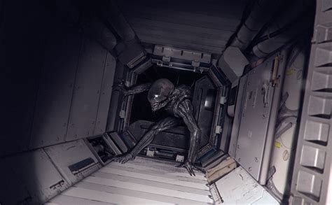 ArtStation - Xenomorph , Alejandro Mirabal Concept Art World, Alien Concept Art, Alien Vs ...