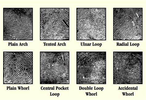 BGoffForensics: Forensic Science Project Part I: Fingerprints