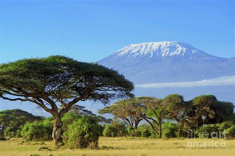 Snow On Top Of Mount Kilimanjaro Photograph by Volodymyr Burdiak