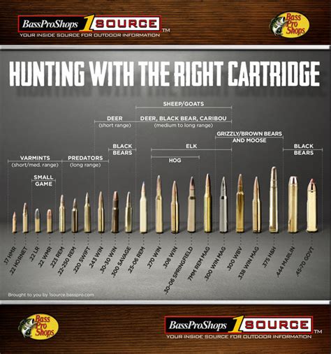 Use This Rifle Caliber Chart to Pick the Right Ammo for Hunting | Bass Pro Shops