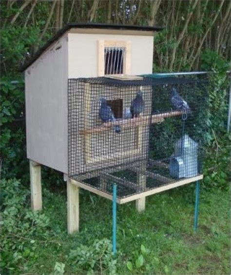 Homing Pigeon Loft Plans | plougonver.com