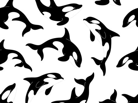 pattern with orca by Lili Kudrili on Dribbble