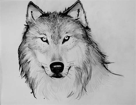 Almost A Girl, Mostly A Ghost: Wolf Drawings