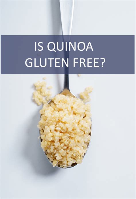 Is Quinoa Gluten-Free? - Is This That Food