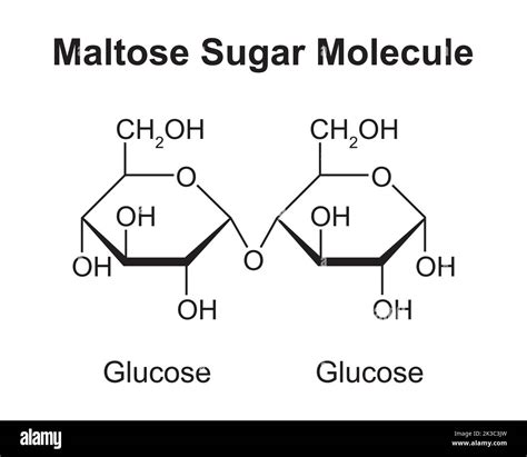 Maltose sugar molecule Black and White Stock Photos & Images - Alamy