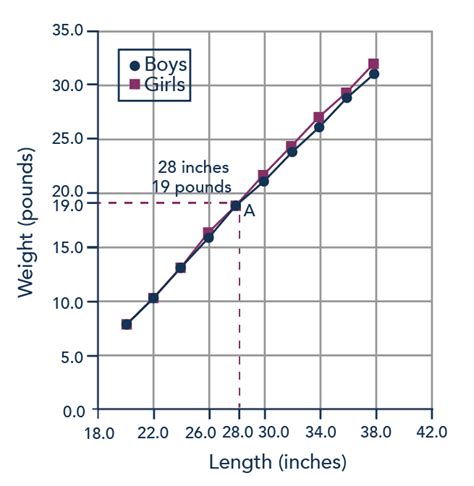 Best Graph to Use to Describe Growth