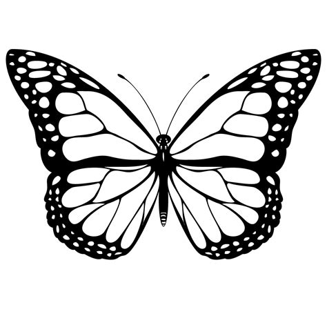 Simple Butterfly Outline - ClipArt Best