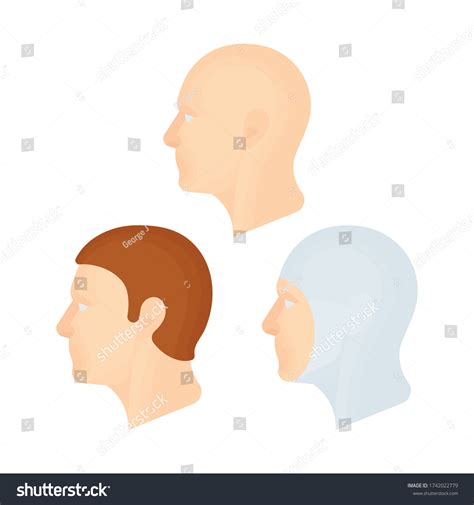 Human Head Profile Set Human Heads Stock Vector (Royalty Free) 1742022779 | Shutterstock