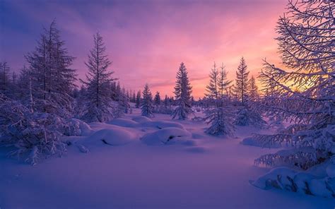 Download wallpapers winter, sunset, forest, snowdrifts for desktop free. Pictures for desktop free