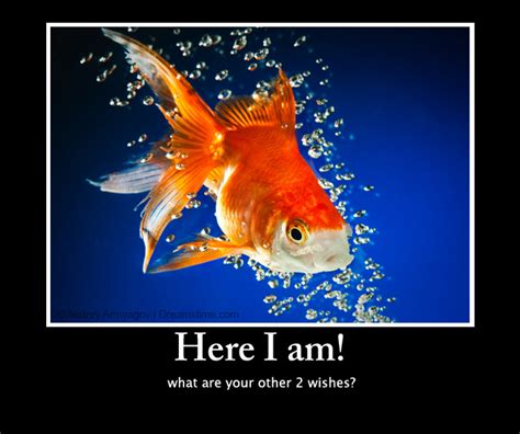 Goldfish – Meme Quotes