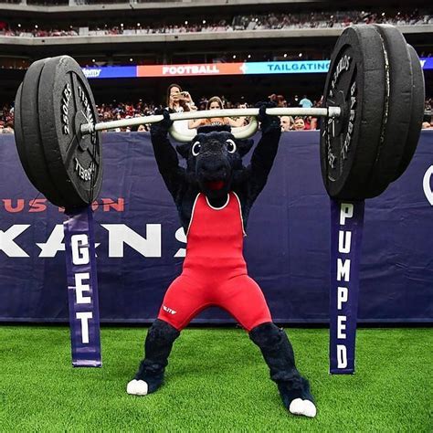 What Animal Is The Houston Texans Mascot?