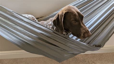 Under Desk Hammock | UPLIFT Desk