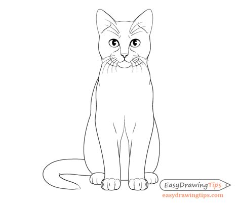 How to Draw a Cat Step by Step - EasyDrawingTips