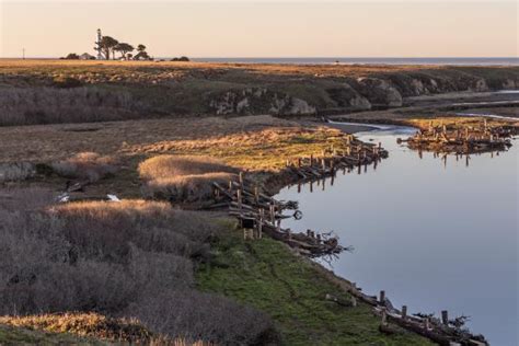 Large-scale Restoration in a Dynamic Estuary System: A Tour of the ...