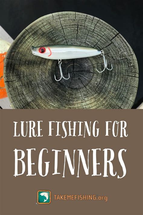 Lure Fishing for Beginners: Lures Every Angler Should Have | Fishing for beginners, Fishing tips ...