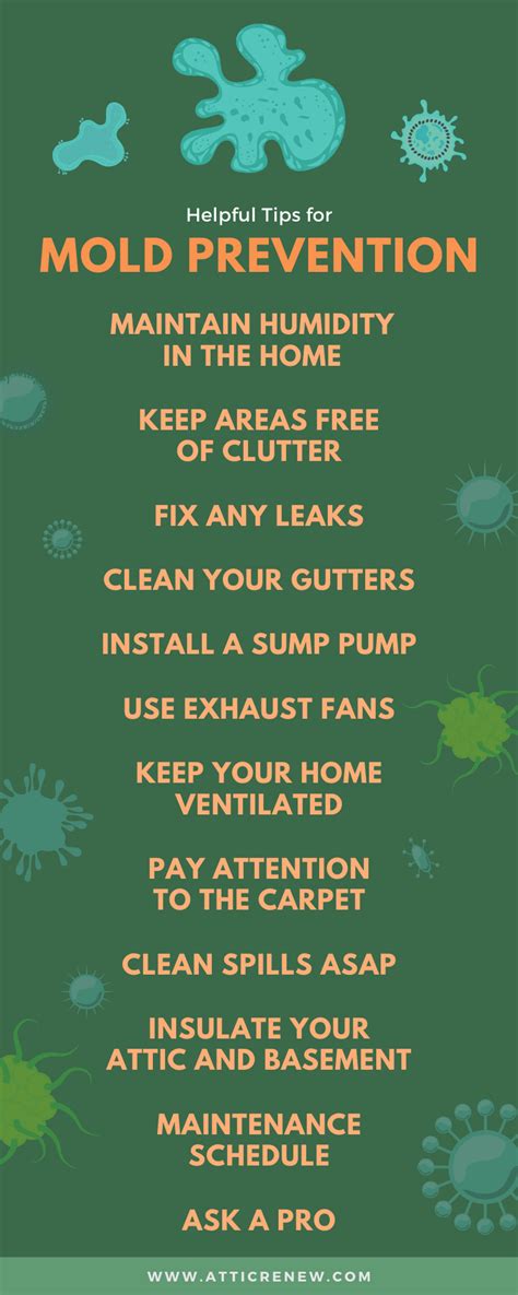 Helpful Tips for Mold Prevention