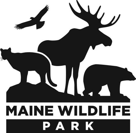 Home - Maine Wildlife Park