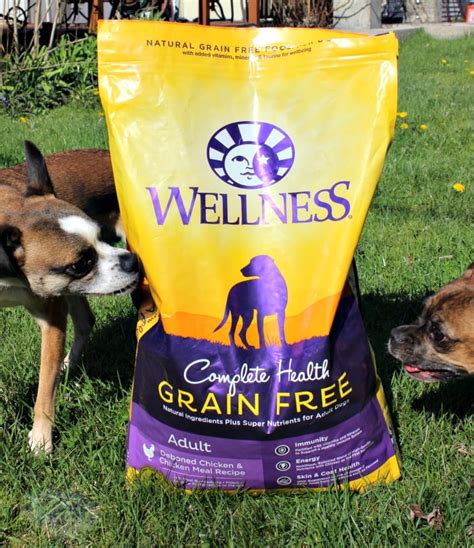 Grain Free Dog Food for Better Health | A Magical Mess