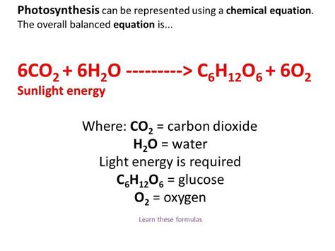 [Download 16+] Download Photosynthesis Equation Png jpg