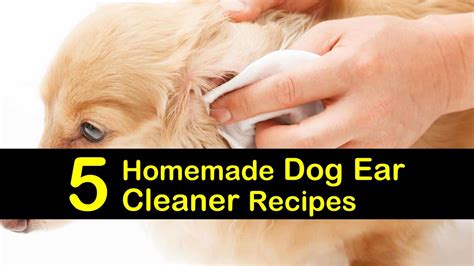 Dog Ear Cleaning Solution Recipe / Curicyn Ear Cleaning Solution for ...