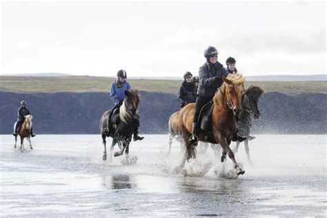 Horseback riding in Iceland - Islandshestar.is