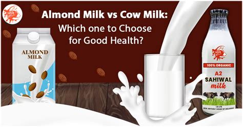 Almond Milk vs Cow Milk: Which one to Choose for Good Health?