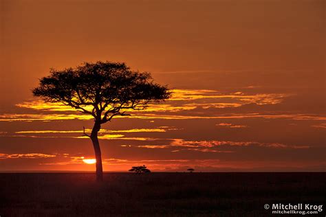 Iconic African Sunrise - Landscape Photos of Maasai Mara, Kenya