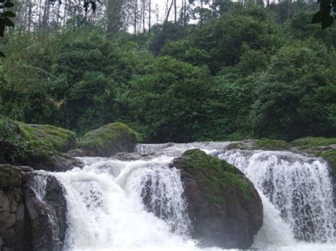 5 Best Waterfalls In Maharashtra That You Must See