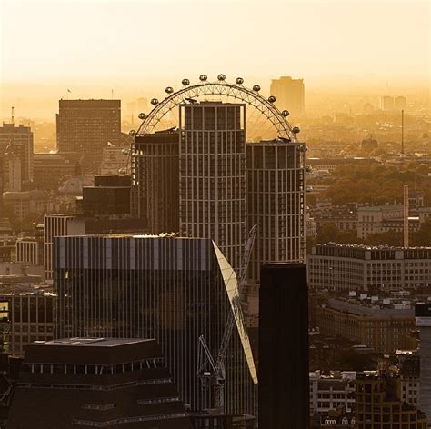 London Eye sunset