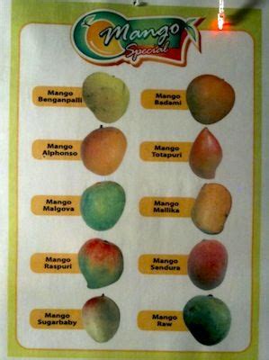 Types Of Mangoes In Hawaii