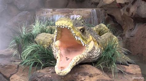 New Animatronic Alligator at Rainforest Cafe at Downtown Disney Walt Disney World - Orlando ...