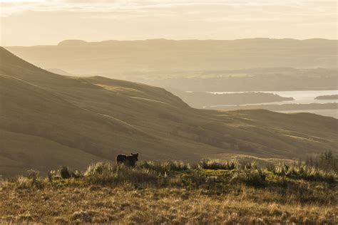 View on Loch Lomond when hiking up the Ben Lomond, Scotland [OC][5184x3456] : r/ImagesOfScotland