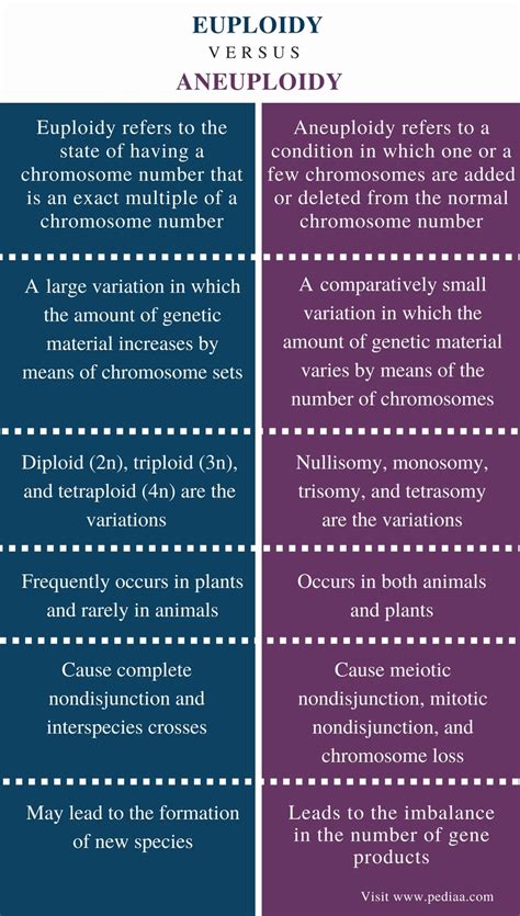 Difference Between Euploidy and Aneuploidy | Definition, Variations ...