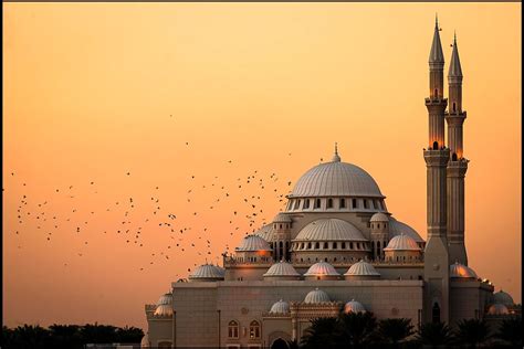 photography, Nature, Landscape, Mosque, Architecture, Islam, Flying, Birds, Sunset, Lights ...