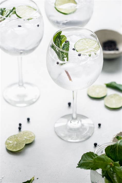 Gin And Tonic Recipe Variations | Bryont Blog