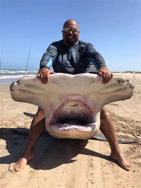 Texas Man Catches 14-Foot Hammerhead Shark, Has Pics to Prove It | Rare