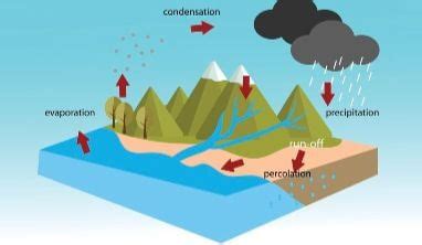 Water Cycle Facts for Kids