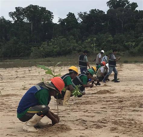 An Amazonian Mining Community Fulfilling its Obligation to the Rainforest - Pure Earth