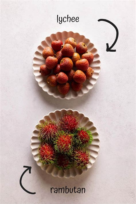 Rambutan vs Lychee: A Comprehensive Comparison Guide | Foodtasia