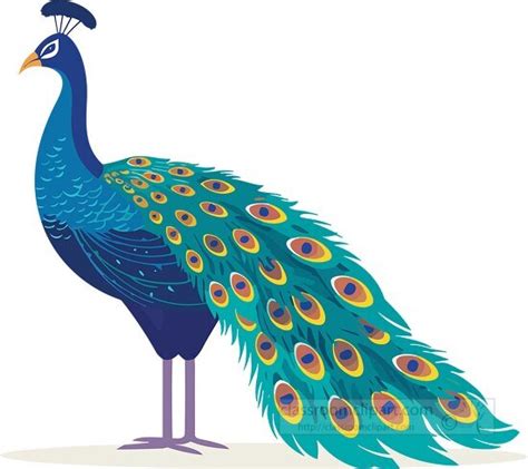 Animal Clipart-blue peacock long colorful tail feathers clip art