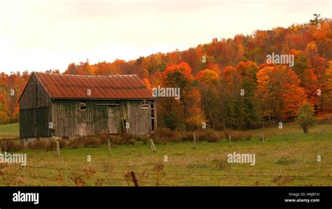 Barn and Fall Colors Stock Photo - Alamy