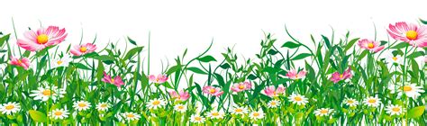 Grass with Flowers PNG Clipart | Cartoon flowers, Flower field, Flowers