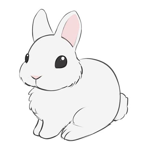 How To Draw A Cute Rabbit