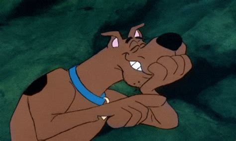 Scooby Doo Laughing GIF - Find & Share on GIPHY