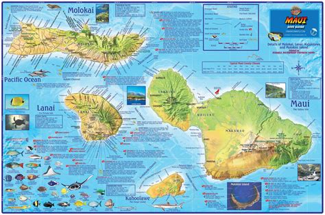 Maui Dive Map – Frankos Maps