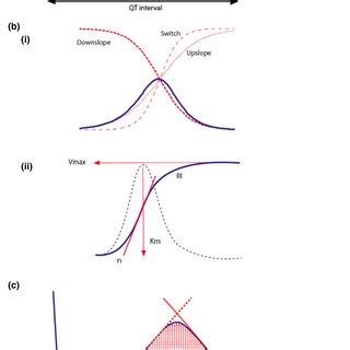 Selected T wave morphology analysis techniques. (a) ECG time intervals ...