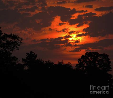 Dark orange sunset with tree silhouette Photograph by Debby Harrison - Fine Art America